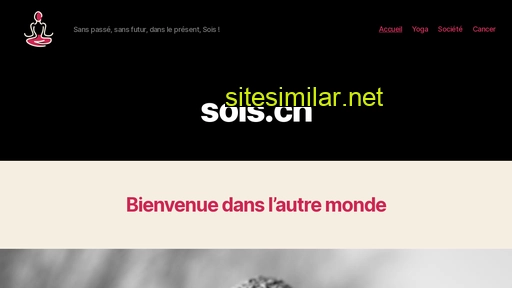 sois.ch alternative sites