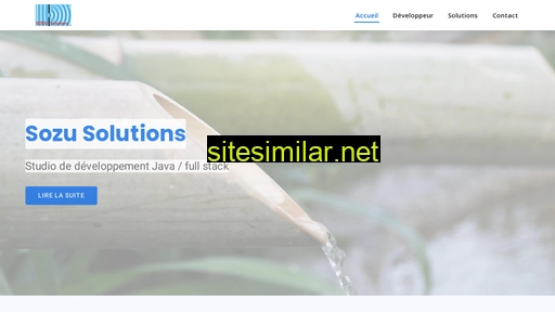 sozusolutions.ch alternative sites