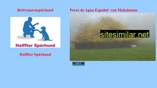 spanischerwasserhund.ch alternative sites