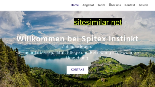 spitex-instinkt.ch alternative sites