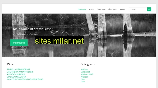 stefanblaser.ch alternative sites