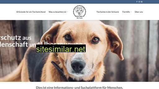 streetdog.ch alternative sites