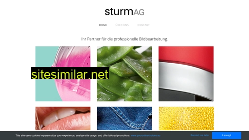 sturm.ch alternative sites