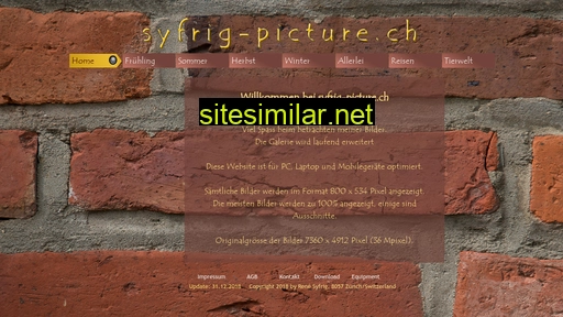 syfrig-picture.ch alternative sites
