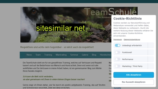 teamschule.ch alternative sites