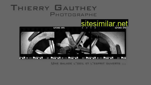 Thierrygauthey similar sites