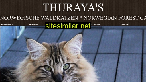 thurayas.ch alternative sites