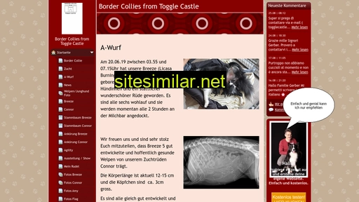 togglecastle.ch alternative sites