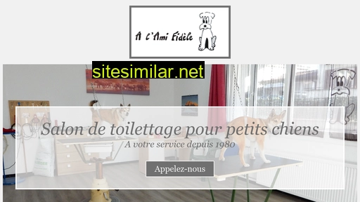 toilettage-amifidele.ch alternative sites