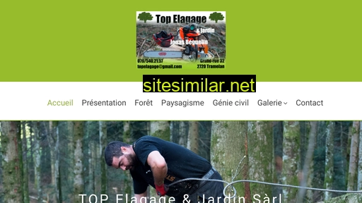 top-elagage.ch alternative sites
