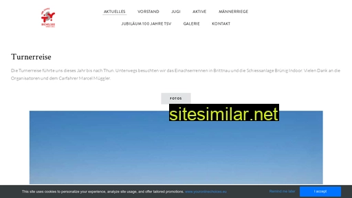 tsv-bichelsee.ch alternative sites