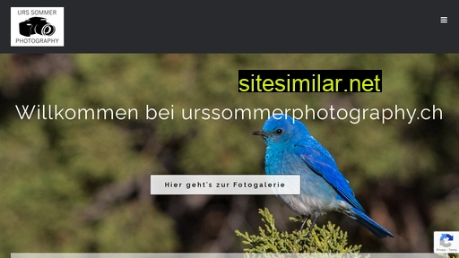urssommerphotography.ch alternative sites