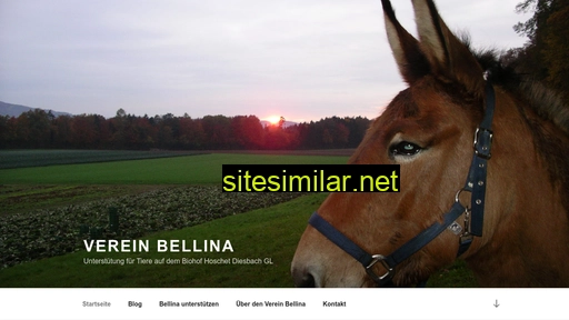 verein-bellina.ch alternative sites
