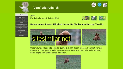 vompudelrudel.ch alternative sites