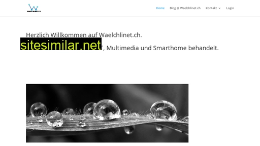 waelchlinet.ch alternative sites