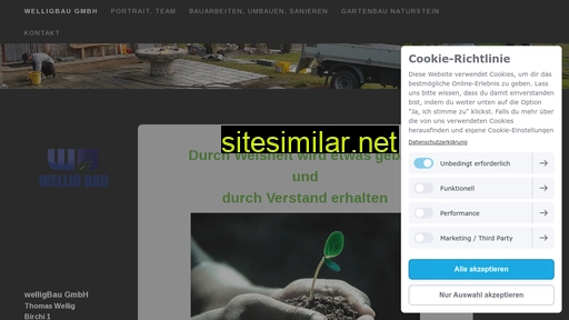welligbau.ch alternative sites