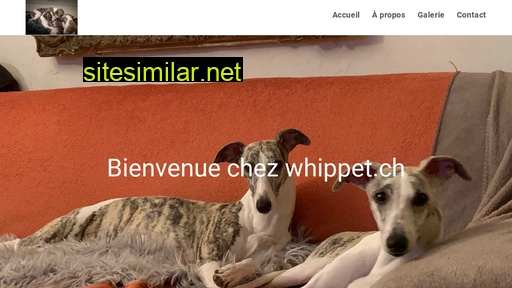whippet.ch alternative sites