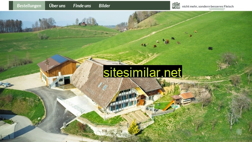 wirthmoesli.ch alternative sites