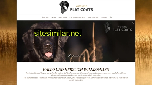 working-flatcoats.ch alternative sites