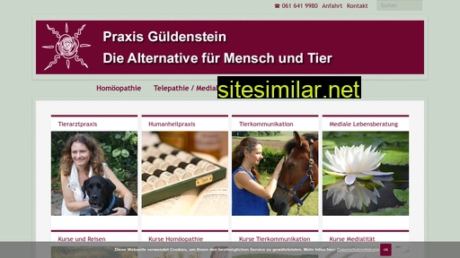 alternative-homöopathie.ch alternative sites