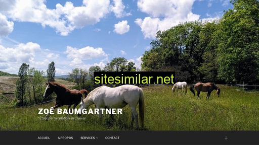 zoebaumgartner.ch alternative sites