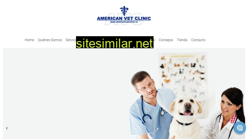 americanvetclinic.cl alternative sites