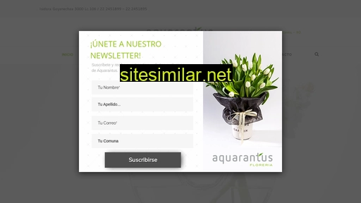 aquarantus.cl alternative sites