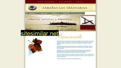 araucariasdellago.cl alternative sites