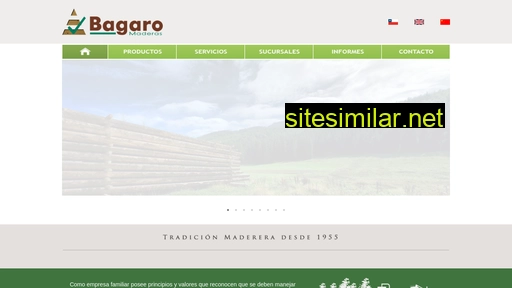 bagaro.cl alternative sites