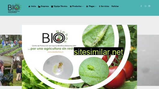 biobichos.cl alternative sites