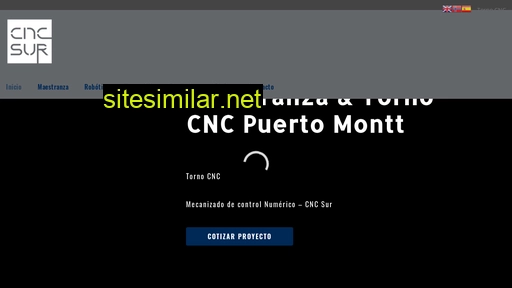 cncsur.cl alternative sites