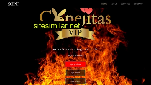 conejitasvip.cl alternative sites