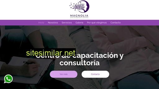 consultoramagnolia.cl alternative sites