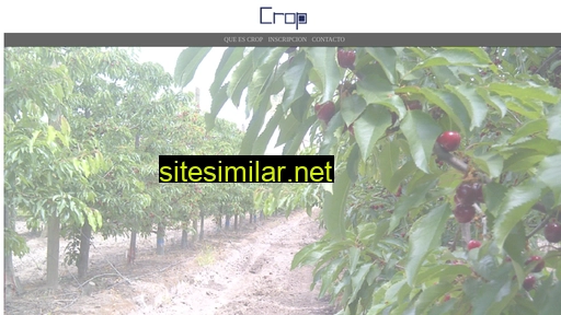 crop.cl alternative sites