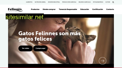 felinnes.cl alternative sites
