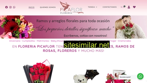 floreriapicaflor.cl alternative sites