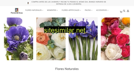 floresdeocoa.cl alternative sites