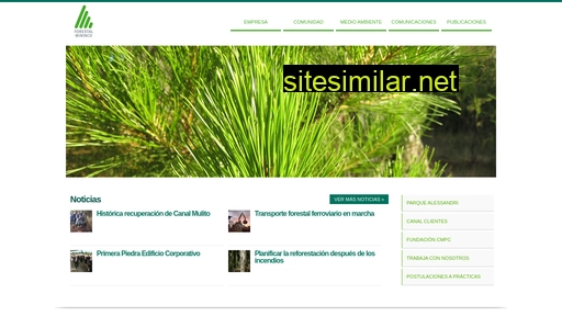 forestalmininco.cl alternative sites