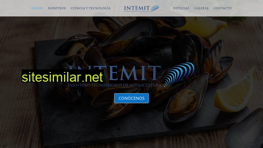 intemit.cl alternative sites
