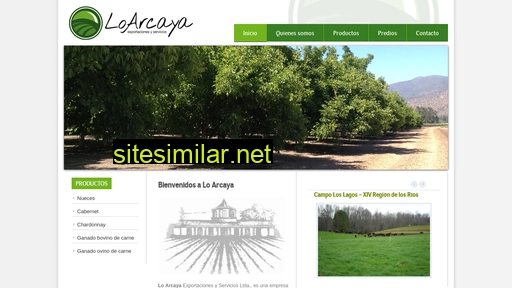 loarcaya.cl alternative sites