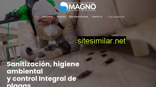 magnoservicios.cl alternative sites