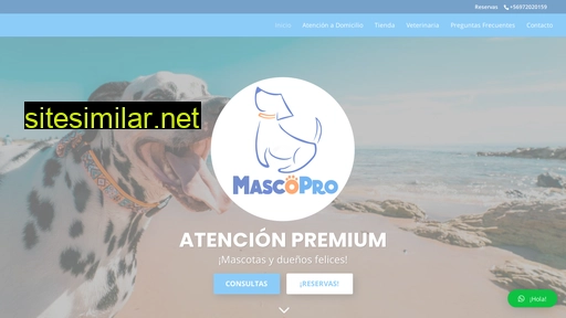 mascopro.cl alternative sites