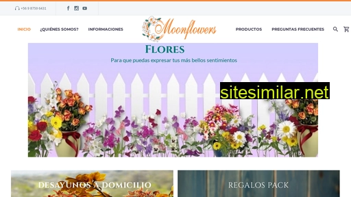 moonflowers.cl alternative sites