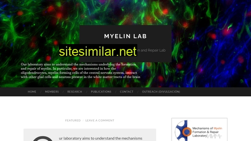 myelin-lab.cl alternative sites