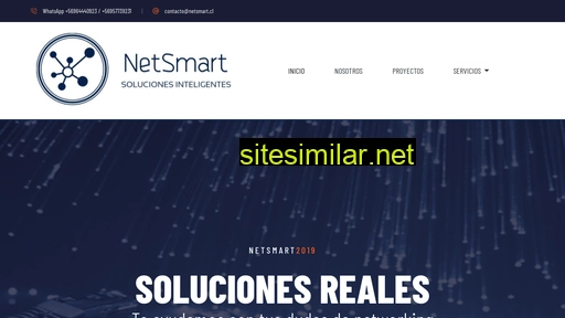 netsmart.cl alternative sites