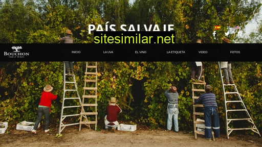 paissalvaje.cl alternative sites