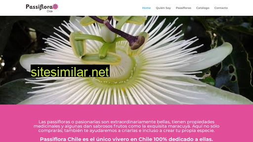 passiflorachile.cl alternative sites