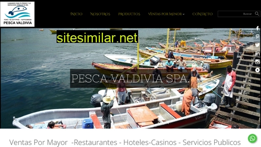 pesqueravaldivia.cl alternative sites