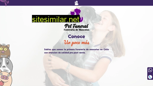 petfuneral.cl alternative sites