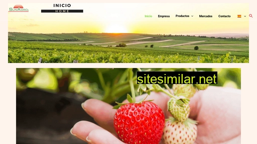 sunagro.cl alternative sites